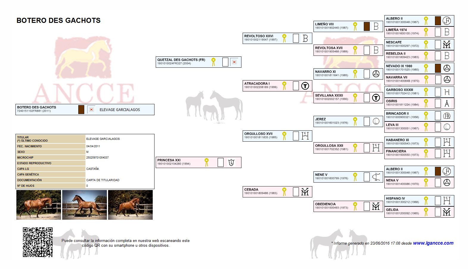 genealogie-botero-des-gachots-elevage-garcialagos-pure-race-espagnole