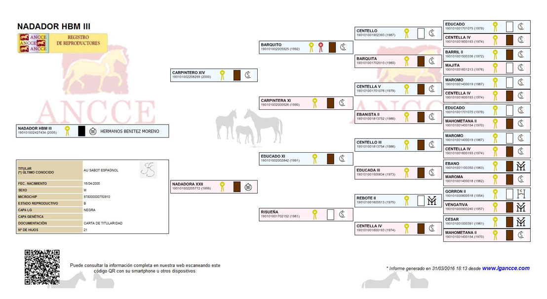 vignette-genealogie-nadador-elevage-garcialagos-pure-race-espagnole