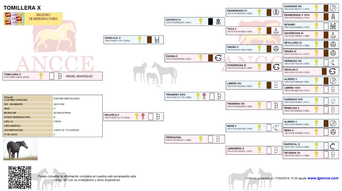 vignette-genealogie-tomillera-X-elevage-garcialagos-pure-race-espagnole