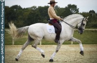 elevage-garcialagos-dressage10