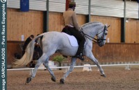 elevage-garcialagos-dressage21