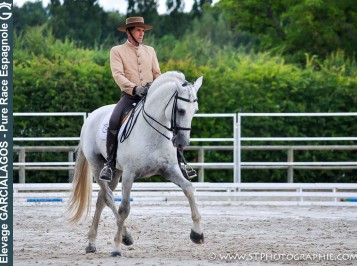 elevage-garcialagos-dressage-quetzal-des-gachots10