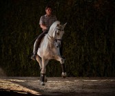 elevage-garcialagos-dressage-quetzal-des-gachots18